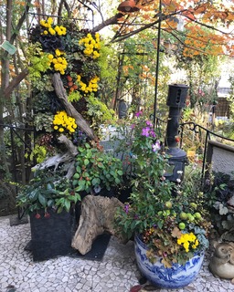 只井さん作品2.jpg